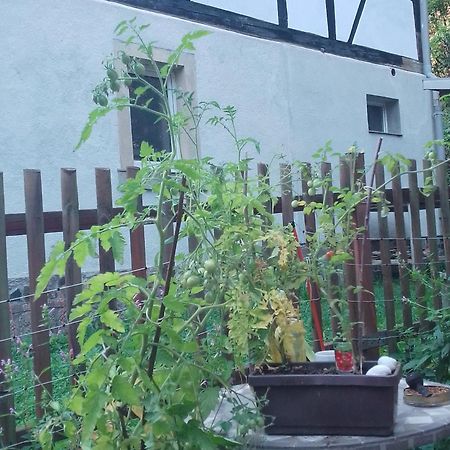 Zum Stillen Himmelbett In Lichtenwalde Niederwiesa 외부 사진